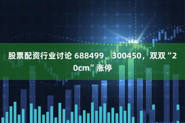 股票配资行业讨论 688499、300450，双双“20cm”涨停